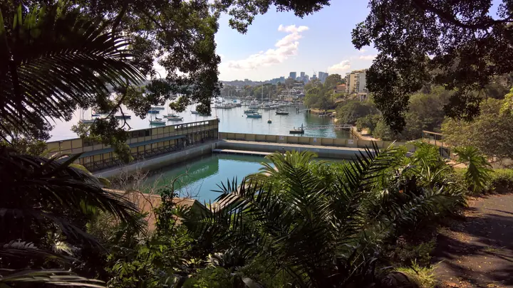 Dawny from Elkington Park