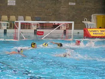 Club gallery, 2005 and 2006