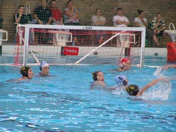 Club gallery, 2005 and 2006