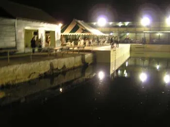 A club night at Dawny