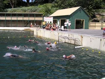 Club gallery, 2005 and 2006